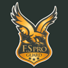 logo Fs Pro Guard